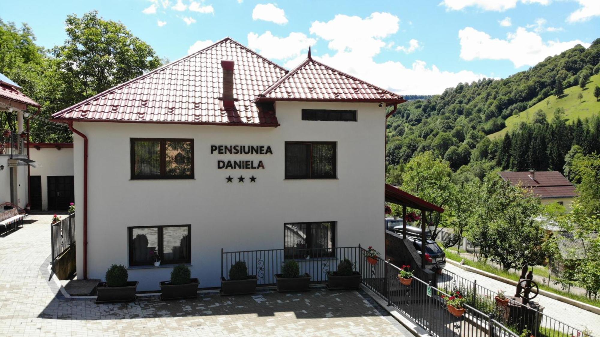 Pensiunea Daniela Moisei Exterior photo